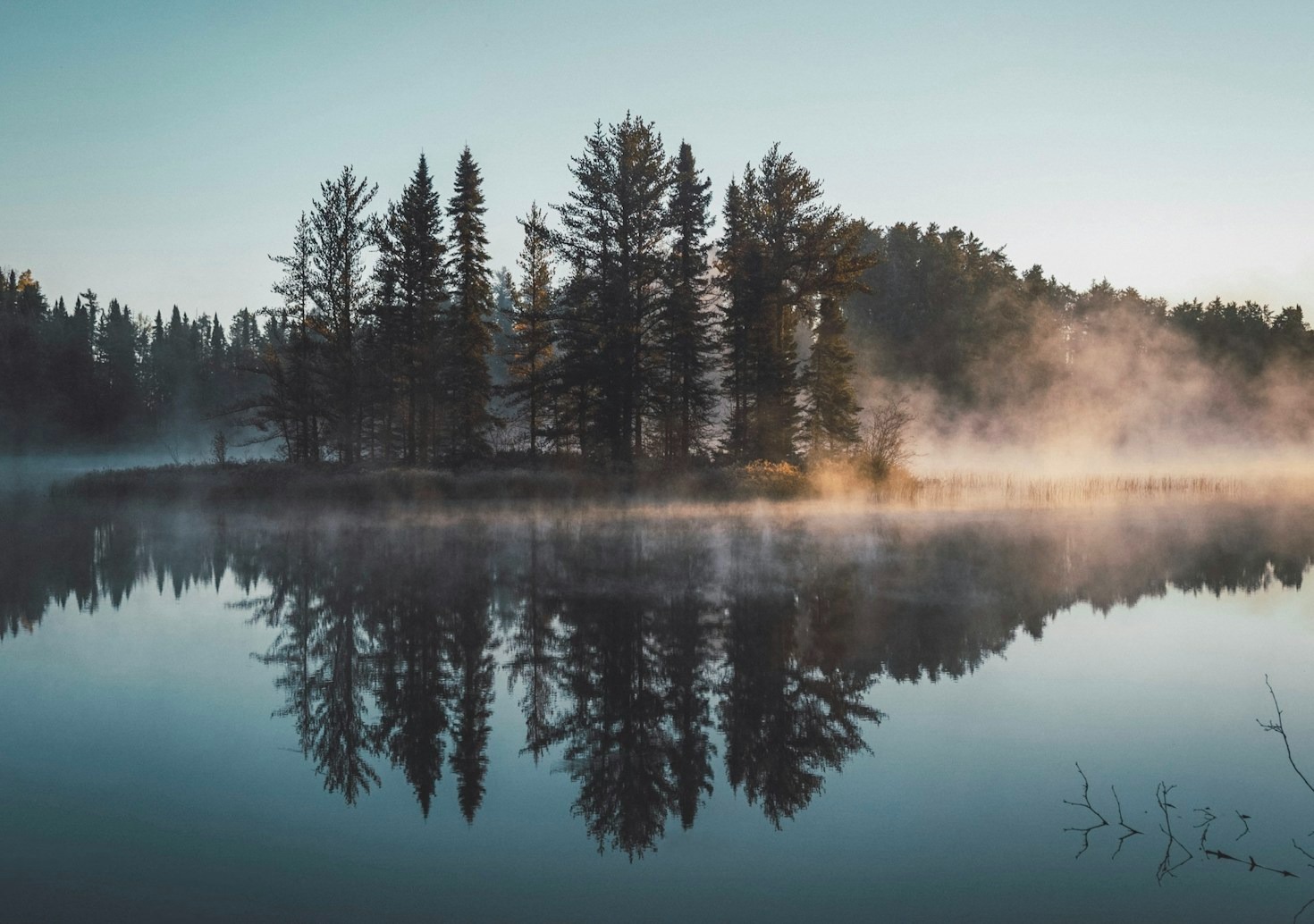 Exploring Curiosities: A Day in My Thoughts