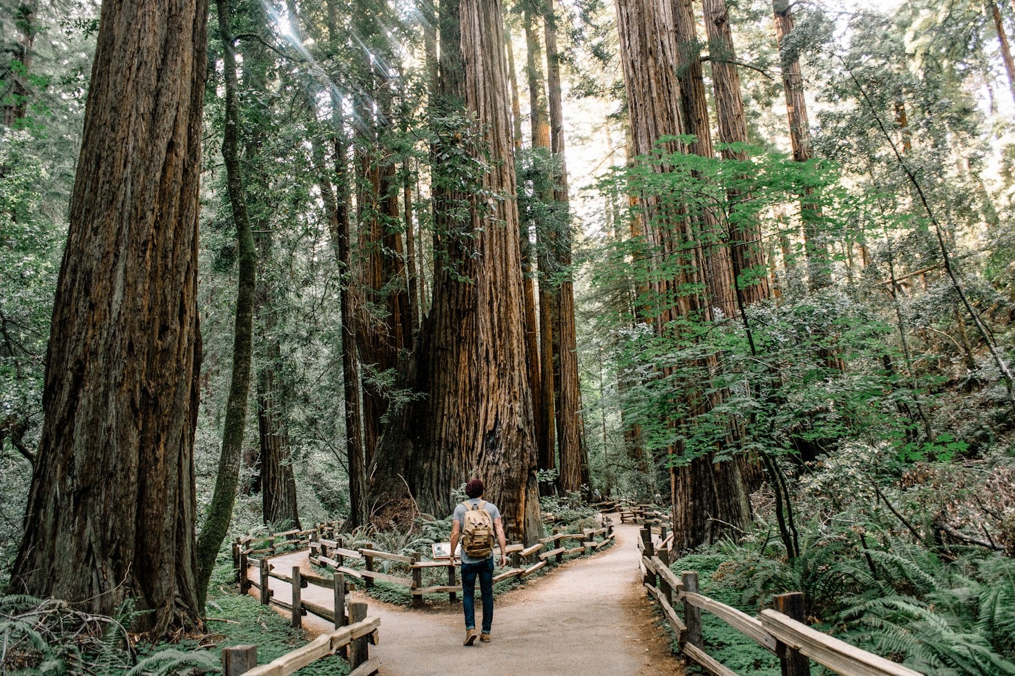 Lessons Learned from a Walk in the Park